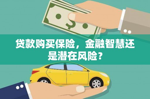 礼县贷款购买保险，金融智慧还是潜在风险？