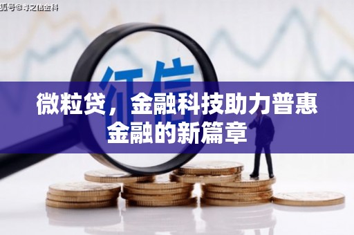 礼县微粒贷，金融科技助力普惠金融的新篇章