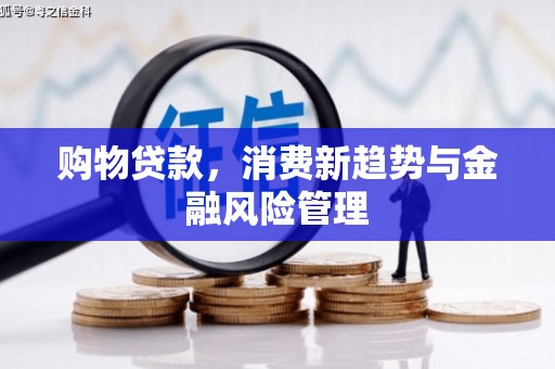 礼县购物贷款，消费新趋势与金融风险管理