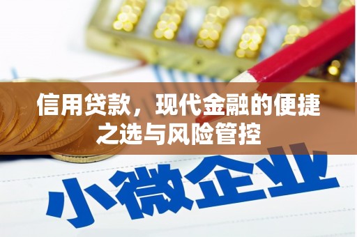 礼县信用贷款，现代金融的便捷之选与风险管控