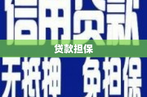 礼县贷款担保
