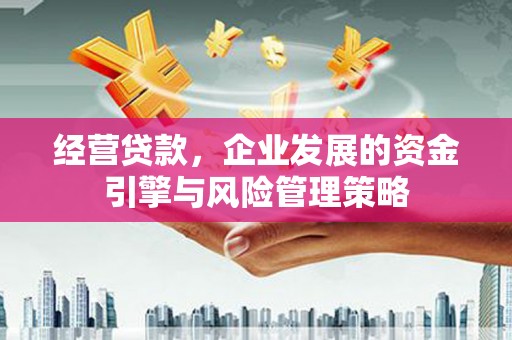 礼县经营贷款，企业发展的资金引擎与风险管理策略