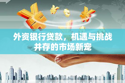 礼县外资银行贷款，机遇与挑战并存的市场新宠