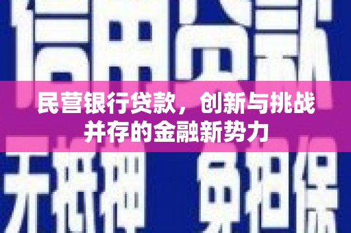 礼县民营银行贷款，创新与挑战并存的金融新势力
