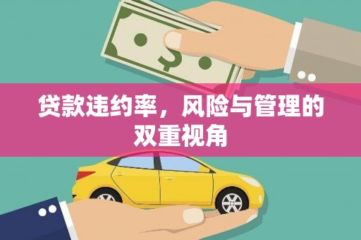 礼县贷款违约率，风险与管理的双重视角