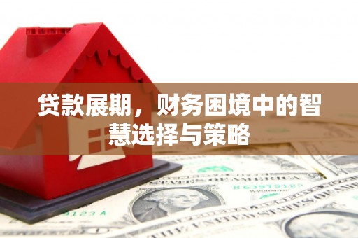 礼县贷款展期，财务困境中的智慧选择与策略