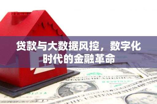 礼县贷款与大数据风控，数字化时代的金融革命