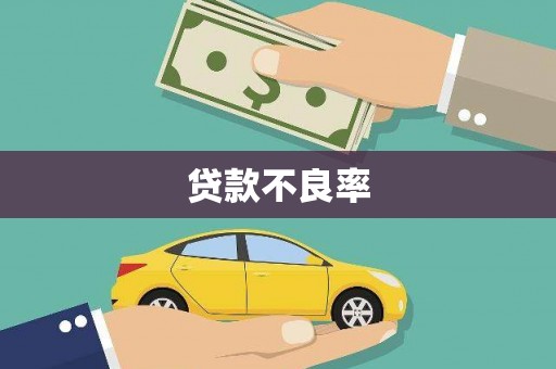 礼县贷款不良率