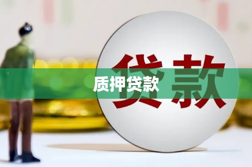 礼县质押贷款
