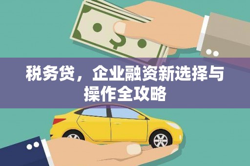 礼县税务贷，企业融资新选择与操作全攻略