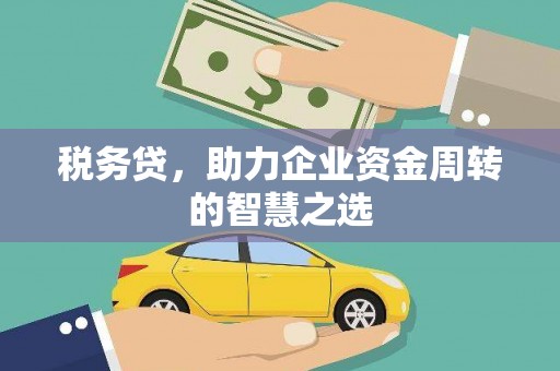 礼县税务贷，助力企业资金周转的智慧之选