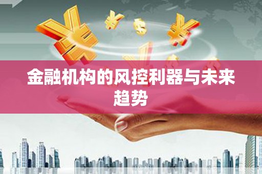 礼县金融机构的风控利器与未来趋势
