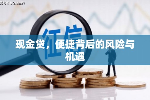 礼县现金贷，便捷背后的风险与机遇