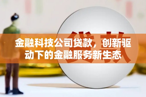 礼县金融科技公司贷款，创新驱动下的金融服务新生态