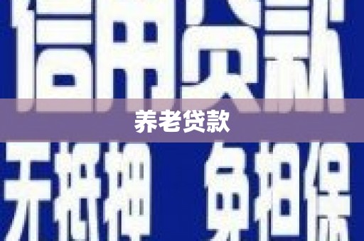 礼县养老贷款