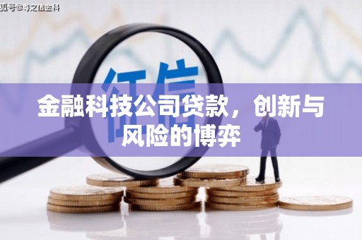 礼县金融科技公司贷款，创新与风险的博弈
