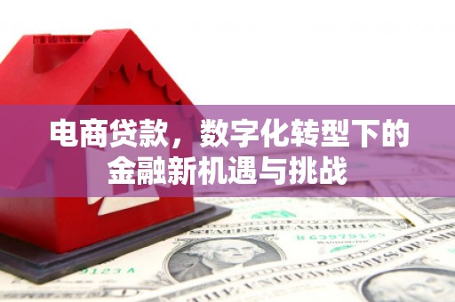 礼县电商贷款，数字化转型下的金融新机遇与挑战
