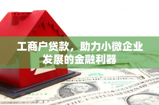 礼县工商户贷款，助力小微企业发展的金融利器