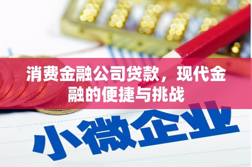 礼县消费金融公司贷款，现代金融的便捷与挑战
