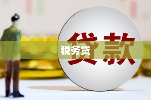 礼县税务贷