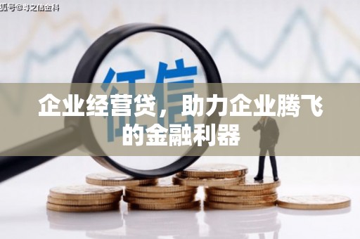 礼县企业经营贷，助力企业腾飞的金融利器