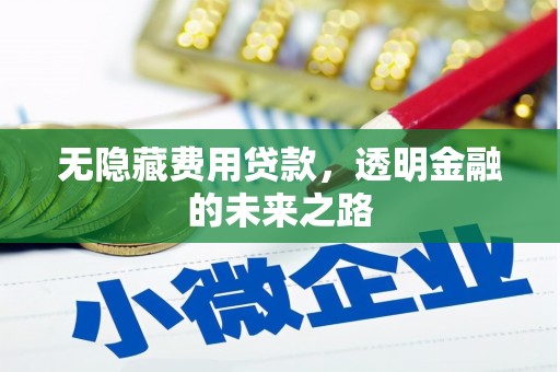 礼县无隐藏费用贷款，透明金融的未来之路