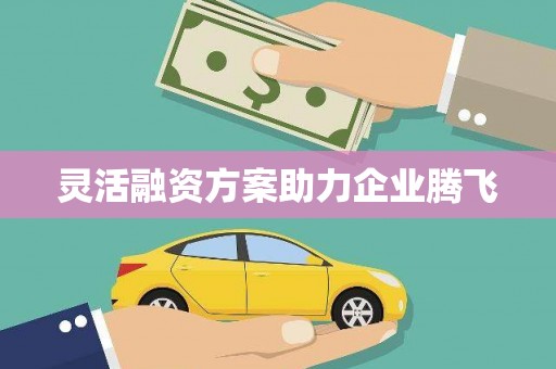 礼县灵活融资方案助力企业腾飞