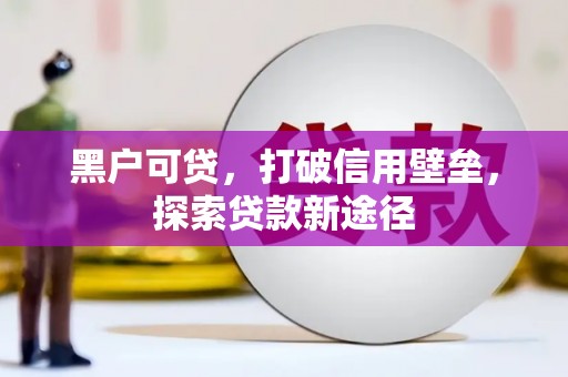 礼县黑户可贷，打破信用壁垒，探索贷款新途径