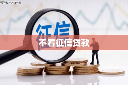 礼县不看征信贷款