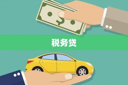 礼县税务贷