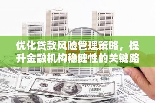 礼县优化贷款风险管理策略，提升金融机构稳健性的关键路径