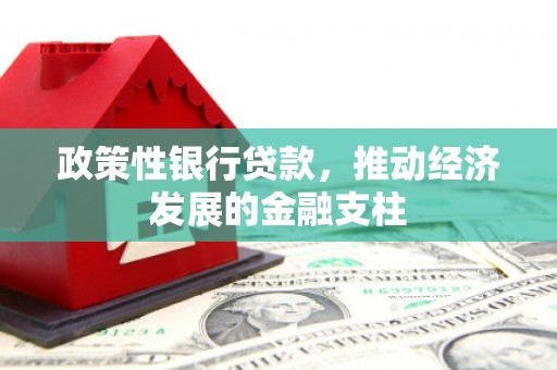 礼县政策性银行贷款，推动经济发展的金融支柱