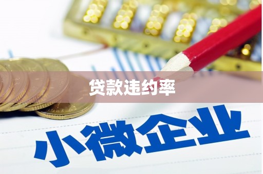 礼县贷款违约率