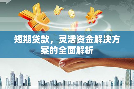 礼县短期贷款，灵活资金解决方案的全面解析