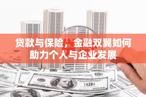 礼县贷款与保险，金融双翼如何助力个人与企业发展
