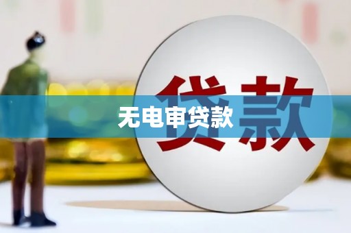 礼县无电审贷款