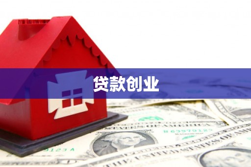 礼县贷款创业