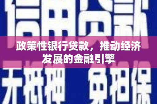 礼县政策性银行贷款，推动经济发展的金融引擎