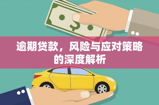礼县逾期贷款，风险与应对策略的深度解析