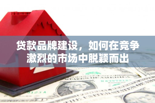 礼县贷款品牌建设，如何在竞争激烈的市场中脱颖而出