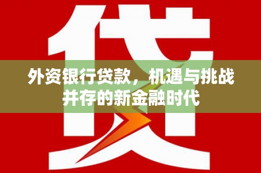 礼县外资银行贷款，机遇与挑战并存的新金融时代