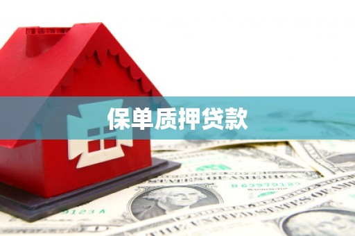 礼县保单质押贷款