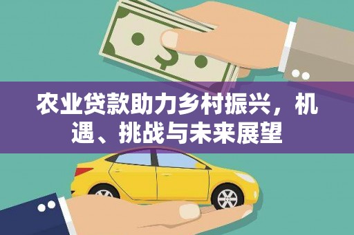 礼县农业贷款助力乡村振兴，机遇、挑战与未来展望
