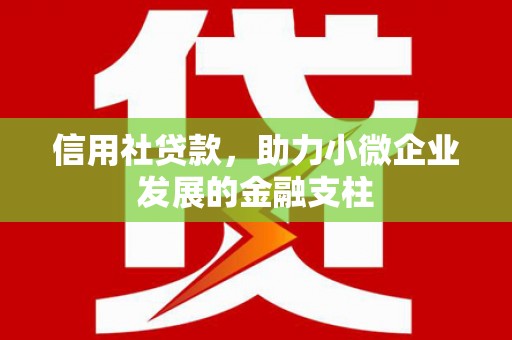 礼县信用社贷款，助力小微企业发展的金融支柱
