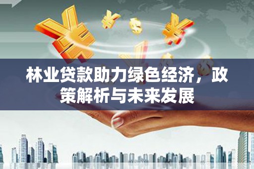 礼县林业贷款助力绿色经济，政策解析与未来发展