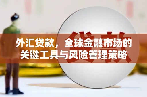 礼县外汇贷款，全球金融市场的关键工具与风险管理策略