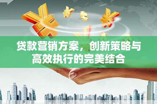 礼县贷款营销方案，创新策略与高效执行的完美结合
