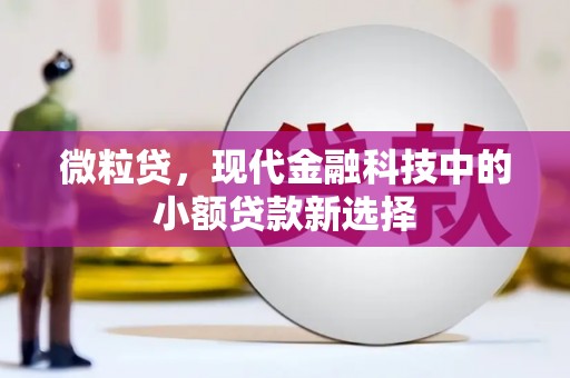 礼县微粒贷，现代金融科技中的小额贷款新选择