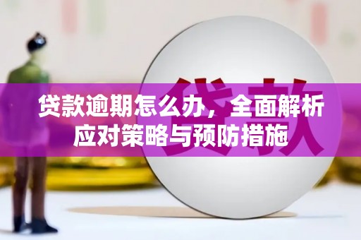 礼县贷款逾期怎么办，全面解析应对策略与预防措施