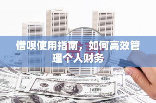 礼县借呗使用指南，如何高效管理个人财务